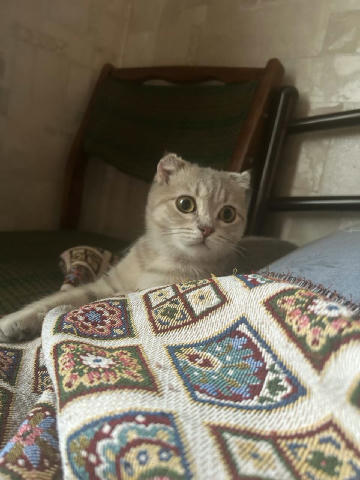 Виглядаю, що ви робите