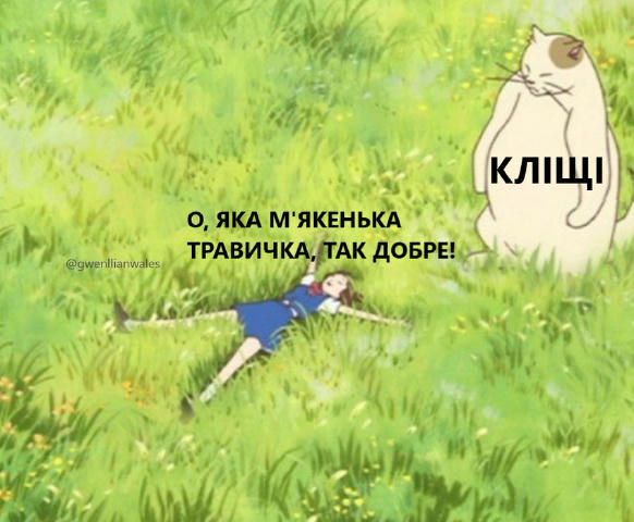 Ги