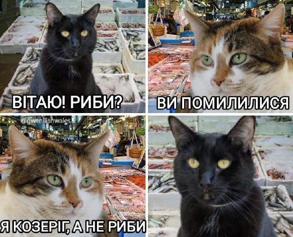 Насправді я Риби 😔
