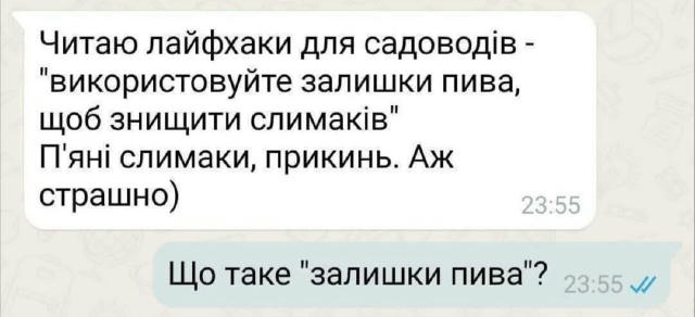 No text