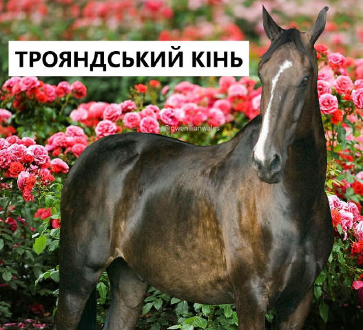 🐴