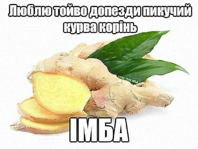 No text