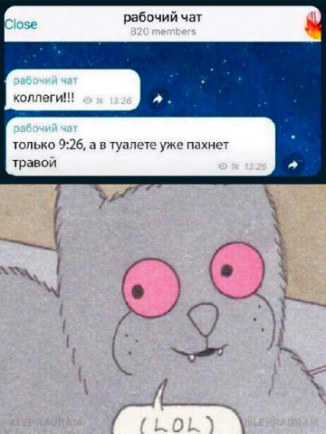 - Олег них*я не делает весь месяц - 9:26 на часах, а туалет уже пахнет травой - Завтра еб*м объект? Если да, то где?.. Это бы