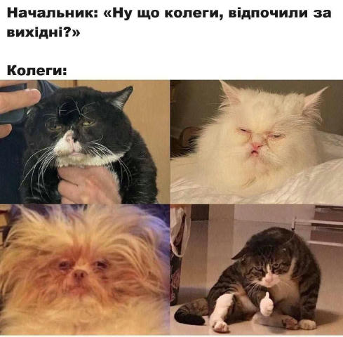 У нас якісь бумерські меми стали..
