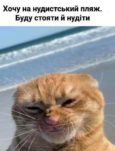 No text