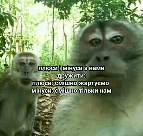No text
