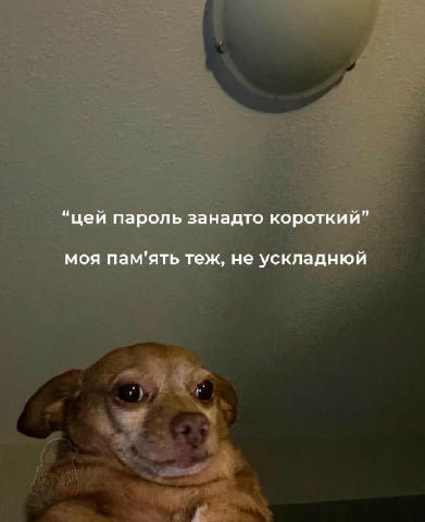 No text