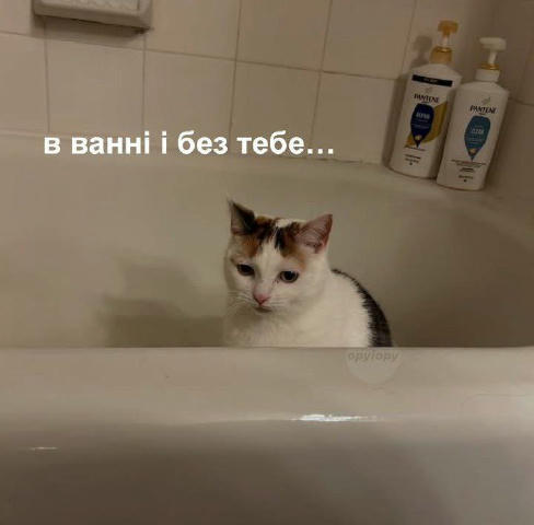 No text