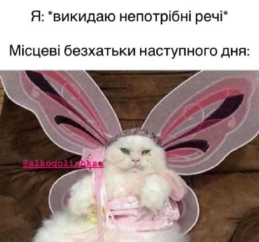 No text