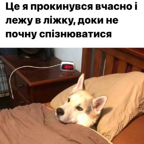 Наші захисники потребують допомоги! 🙏 Підрозділу БПЛА терміново потрібен ремонт автомобіля, який виконує бойові завдання на 