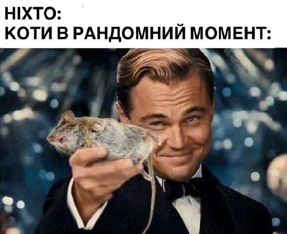 No text
