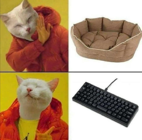 No text