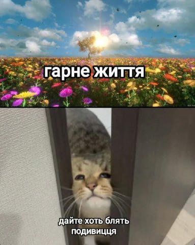 No text