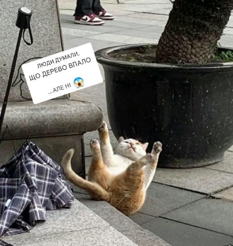 No text