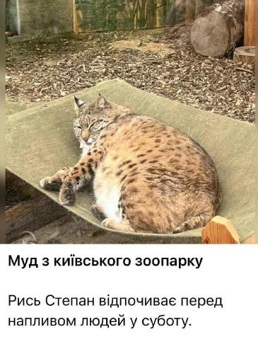 No text