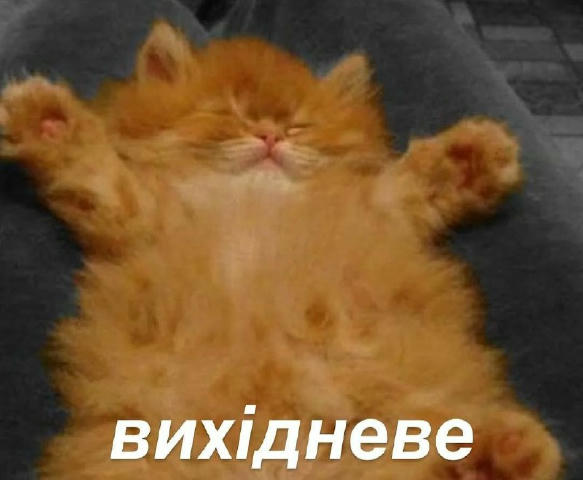 No text