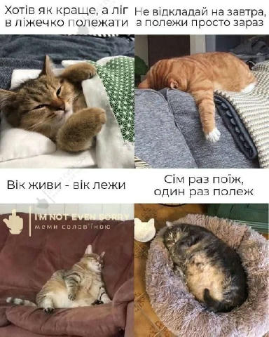No text