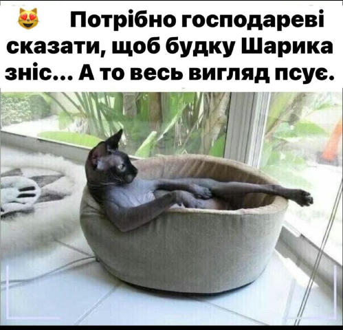 No text