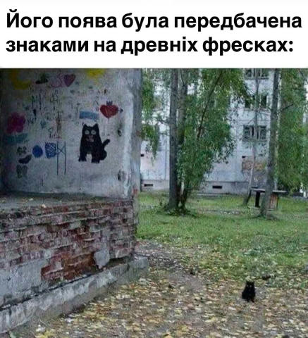 🏕 кабіна адміна