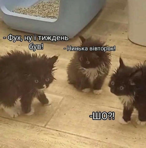 Отакий стан сьогодні. Щире здивування, що нинька вторнік, бо по відчуттям десь вже п'ятий четвер поспіль...