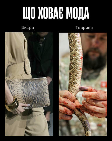У моді краса часто будується на стражданні. Якщо шкіра, хутро чи вовна — це норма, то насильство закладене в основу індустрії