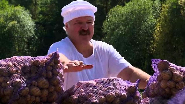 Бульба або штраф: у Білорусі офіційно штрафуватимуть магазини, де немає картоплі Штрафи сягатимуть до 8 400 білоруських рублі