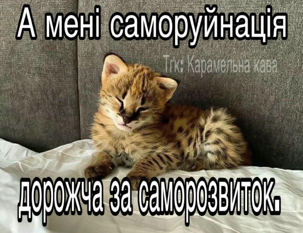 ♡⃝ ⃝ 🌟 ´ . !! ( 🌟 ) • #Пікчі