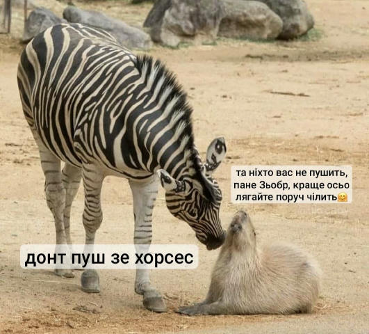 Ми звісно все проспали, але вітаємо Усика з черговою перемогою💪🇺🇦