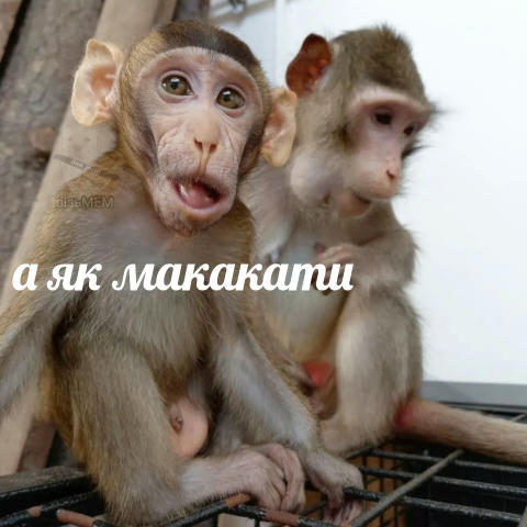 візьМЕМ