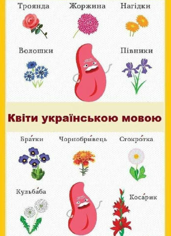 Квіти українською ❤️‍🔥 #мова