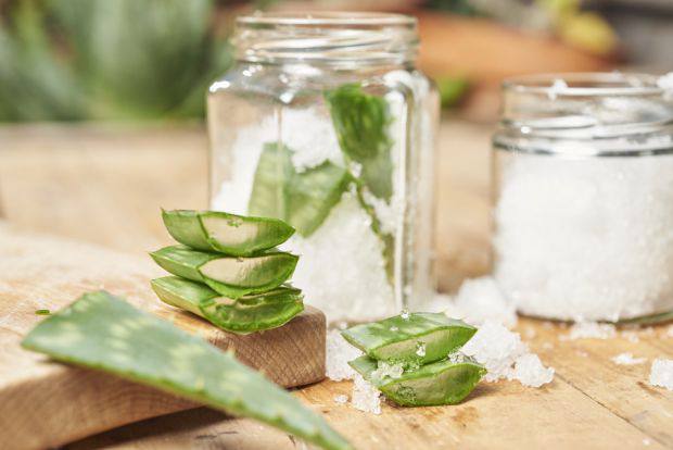 Чи справді корисне алое вера для шкіри обличчя - Алое вера широко відоме своїми зволожувальними та заспокійливими властивостя