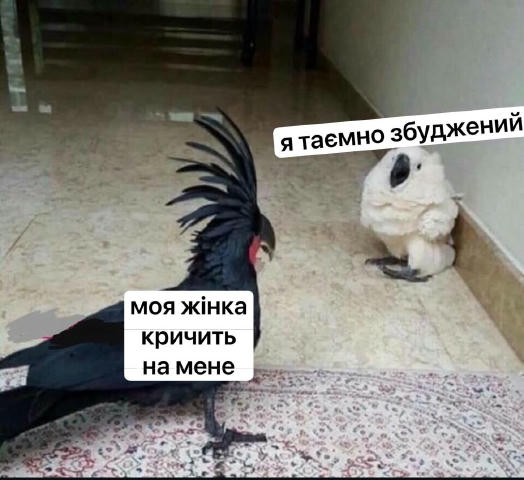 No text
