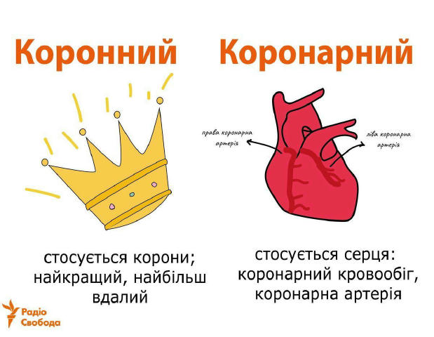 Схожі слова, різне значення 👌 #слова