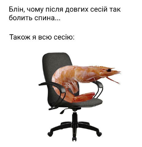 Довільна добірка #memes від учасників для підняття настрою 😉